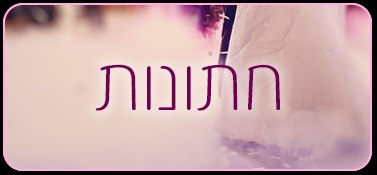 זמר חתונות זמר חתונה